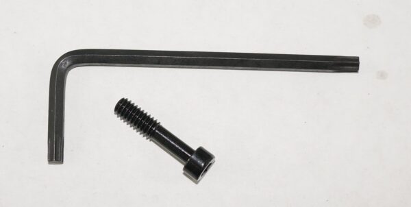 Dlask 10/22 Torx Screw Hold-Down Bolt Carbon Steel (with key)