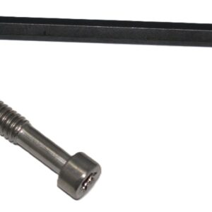 Dlask 10/22 Torx Screw Hold-Down Bolt Stainless Steel (with key)